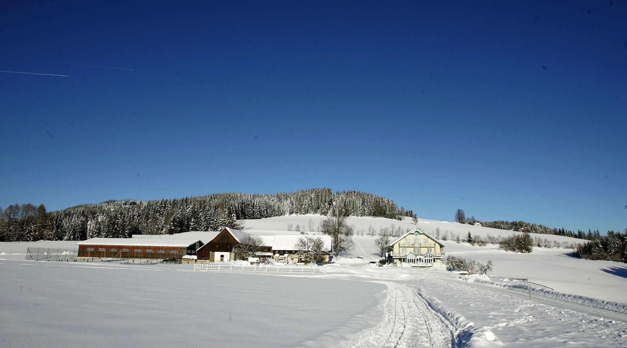 Narnhoferwirt Hotell Sankt Jakob im Walde Eksteriør bilde